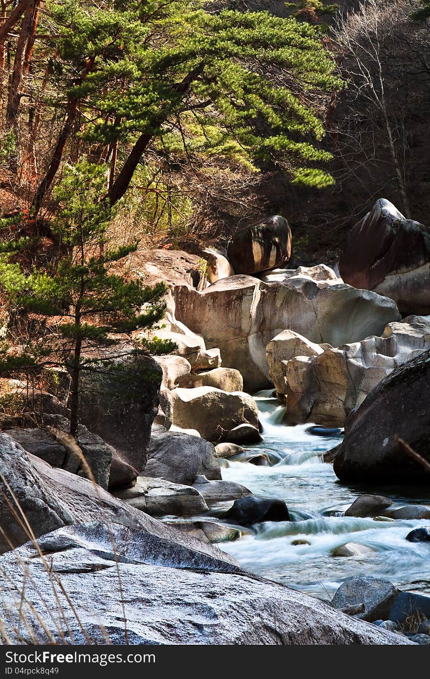 Brook in peaceful and quiet forest. Brook in peaceful and quiet forest