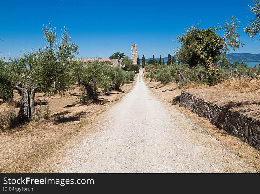 The Polvese Island  on Lake Trasimeno