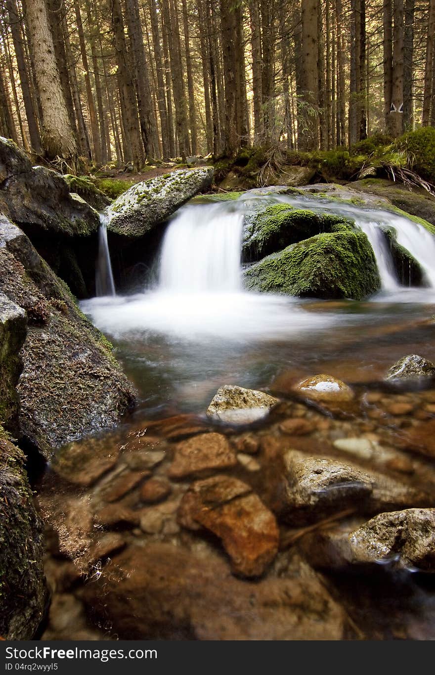 Waterfall in beautiful autumn forest