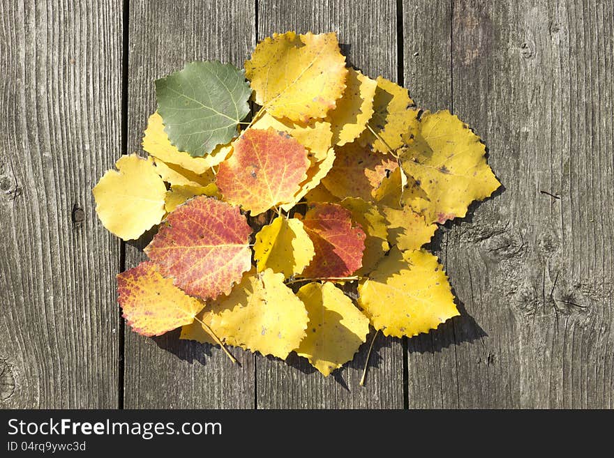 Yellow leaves lie on the wooden table. Yellow leaves lie on the wooden table