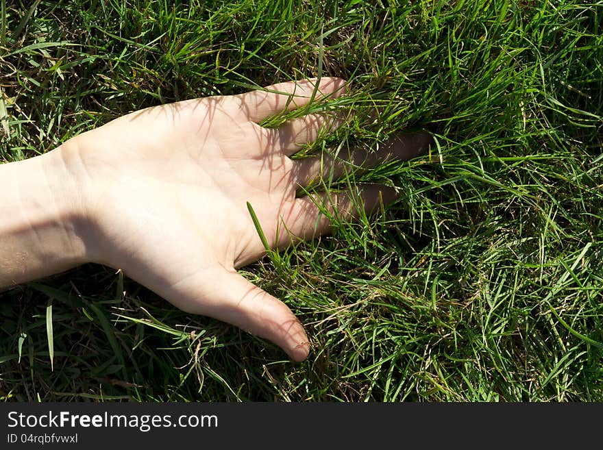 The hand resting in the green grass. The hand resting in the green grass