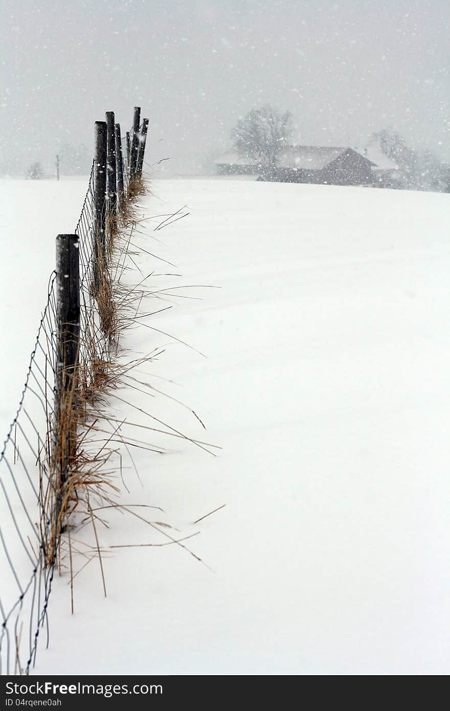 A violent blizzard in Bavaria (Germany)