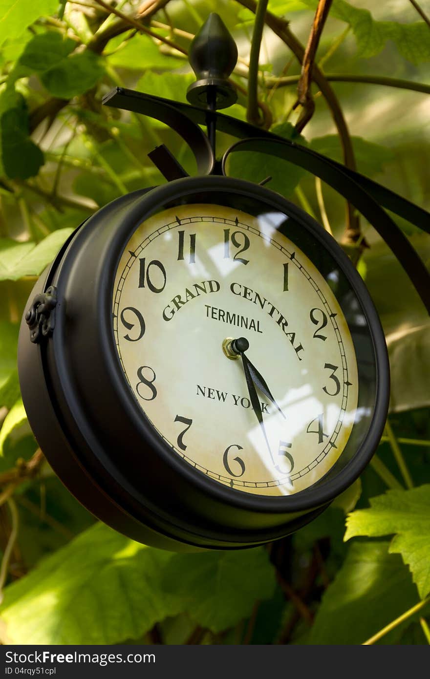 Hanging clock among grape leaves. Hanging clock among grape leaves