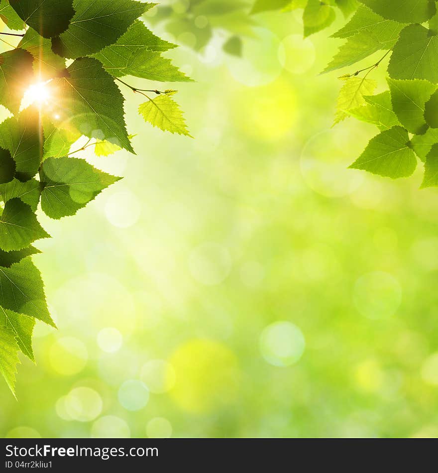 Whats a funny nice day! Abstract natural backgrounds