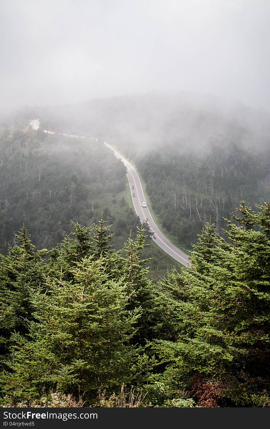 Overlooking foggy Valley And Balsam Pine Trees At