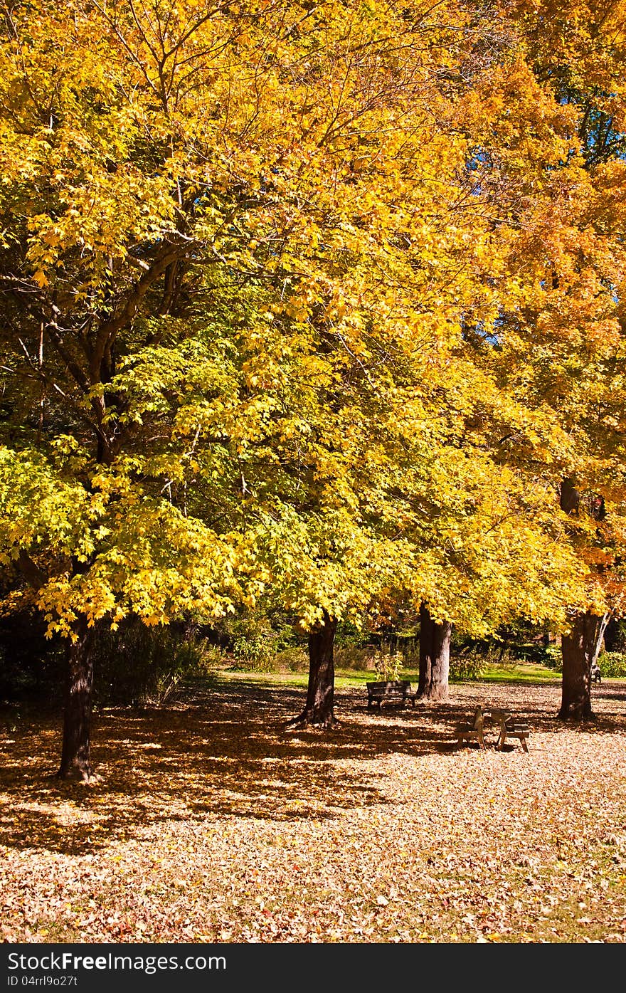 Autumn scene in the mountains