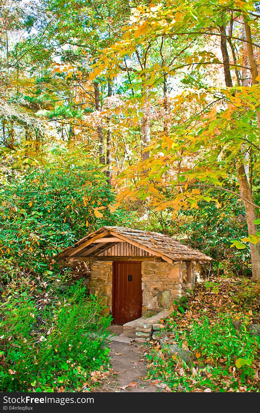 Cabin in the forest