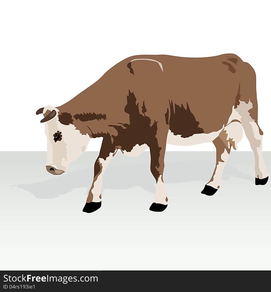 Cattle. Animal on the farm. Illustration on white background. Cattle. Animal on the farm. Illustration on white background.