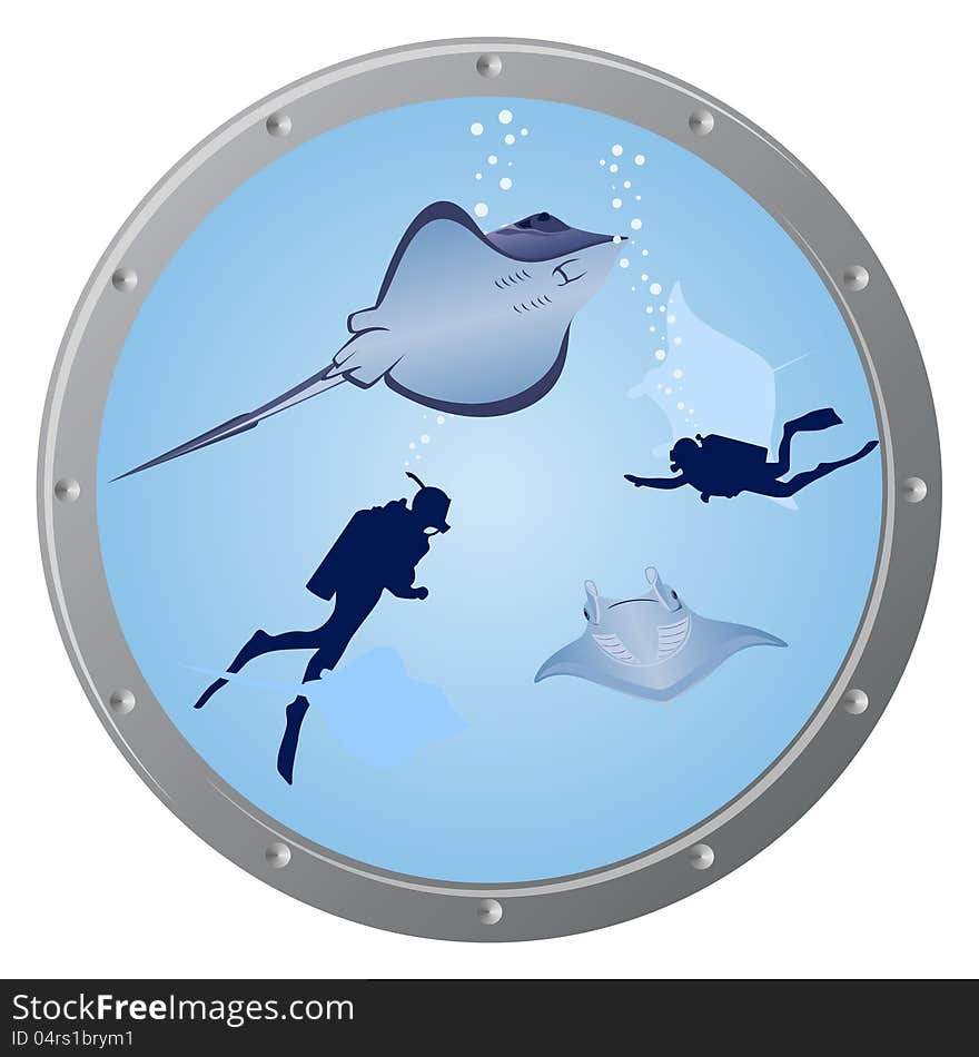 Divers And Stingrays