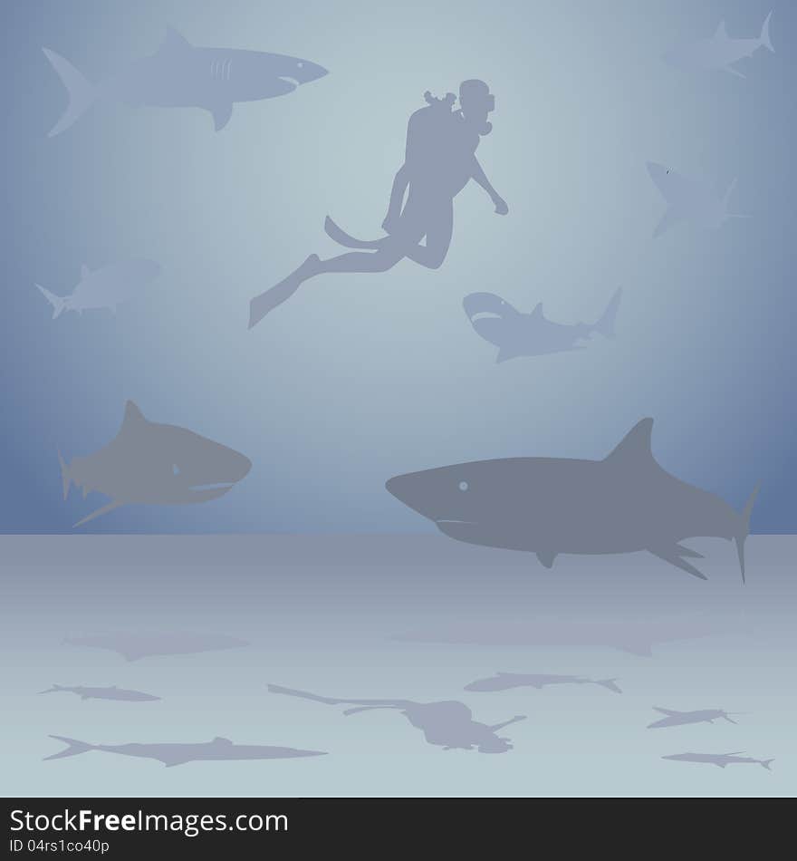 Diver Among Sharks