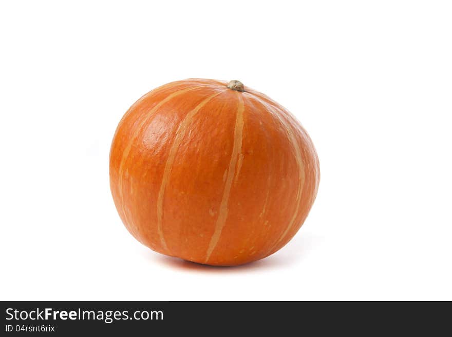 Pumpkin on a white background