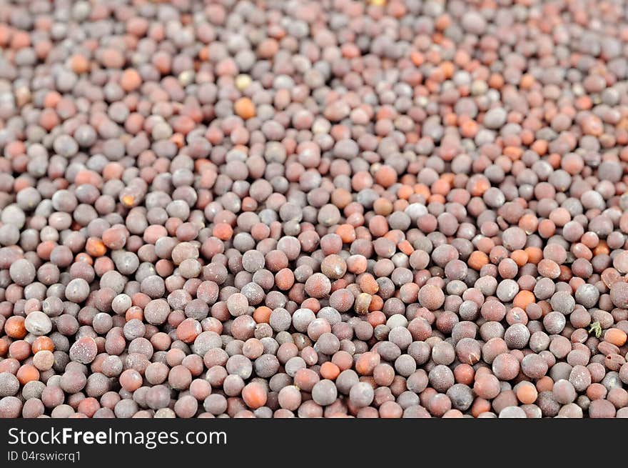 A close-up of black mustard seeds as a background. A close-up of black mustard seeds as a background