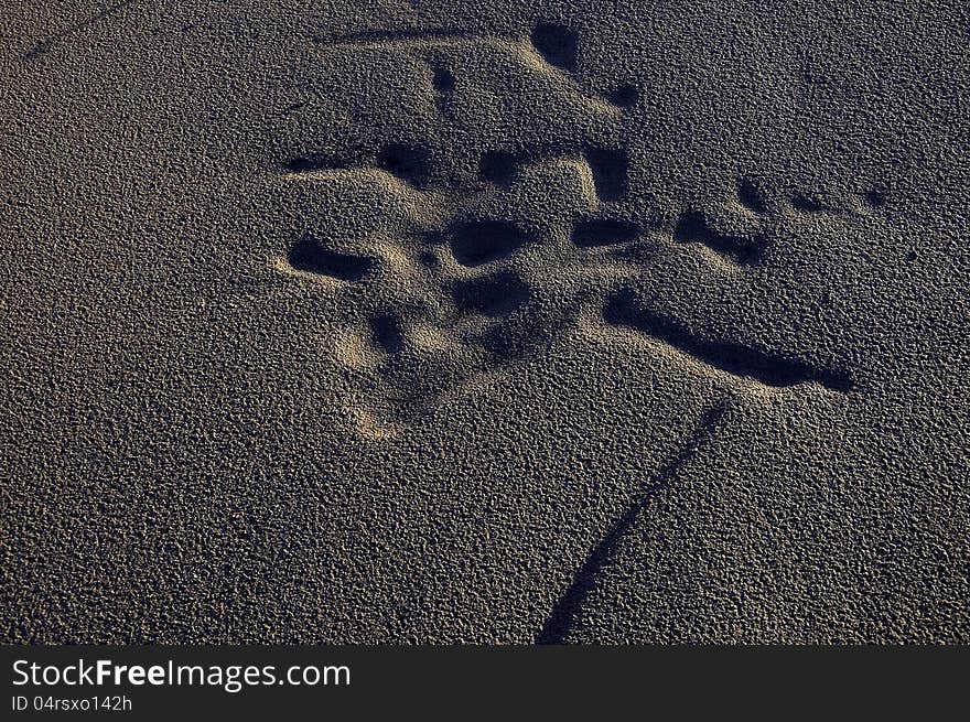 Abstract Sand Traces