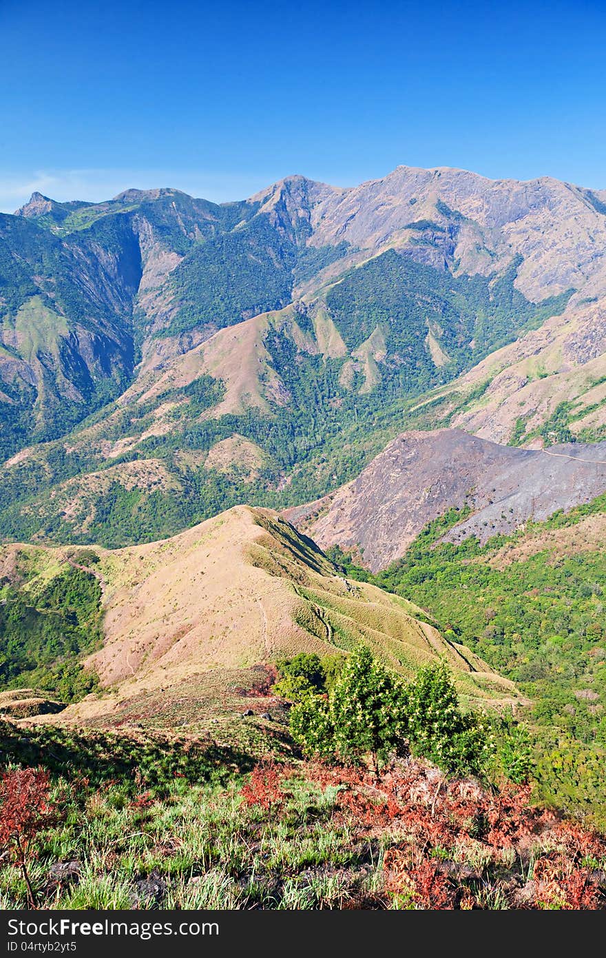 Tamil Nadu