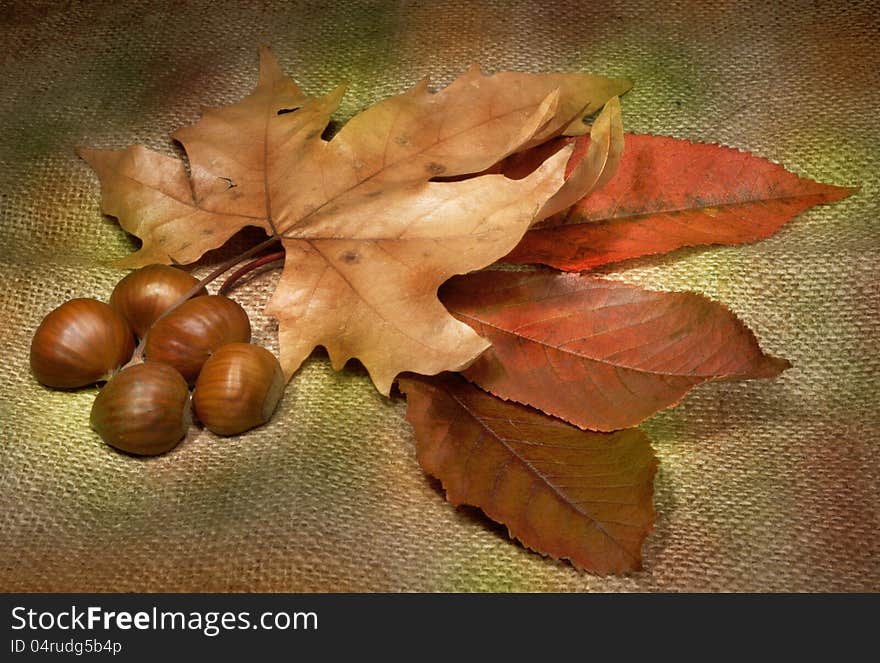 Autumn leaves and chestnuts grunge wallpaper. Autumn leaves and chestnuts grunge wallpaper