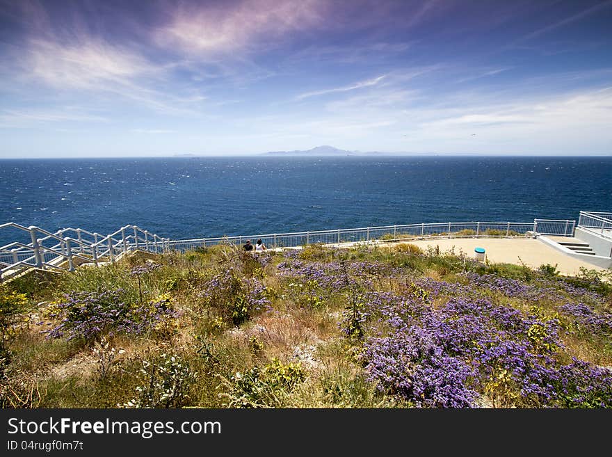 Floral Coastline