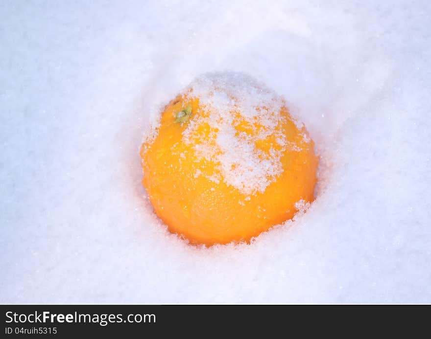 Orange on the fresh snow