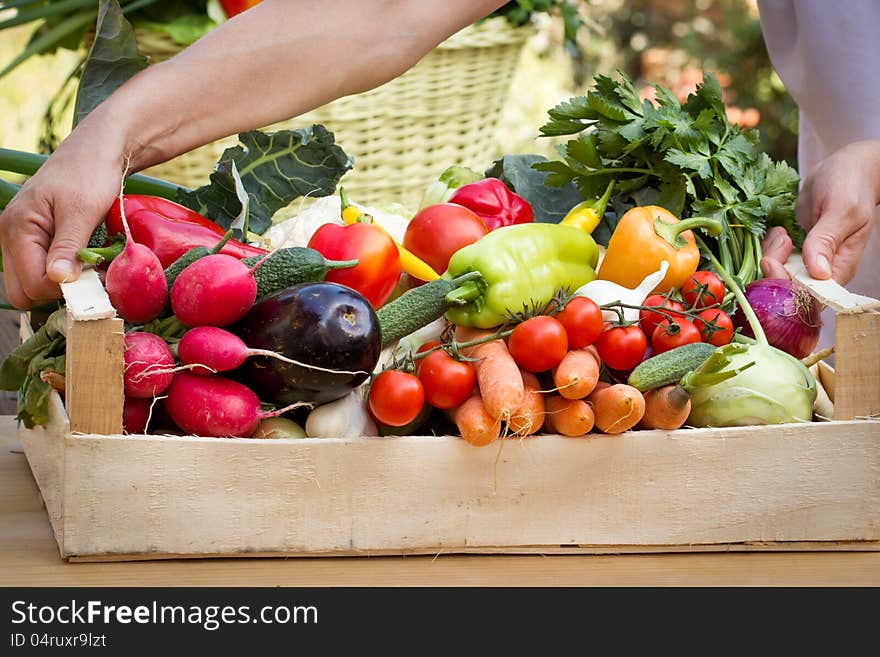 Crate is full of various organic vegetables. Crate is full of various organic vegetables