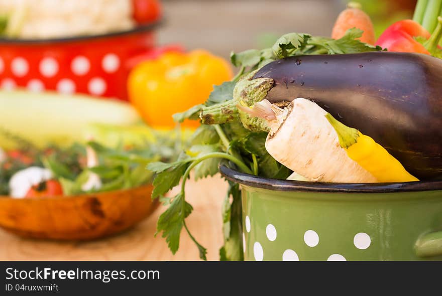 Vegetables in the old pots. Vegetables in the old pots