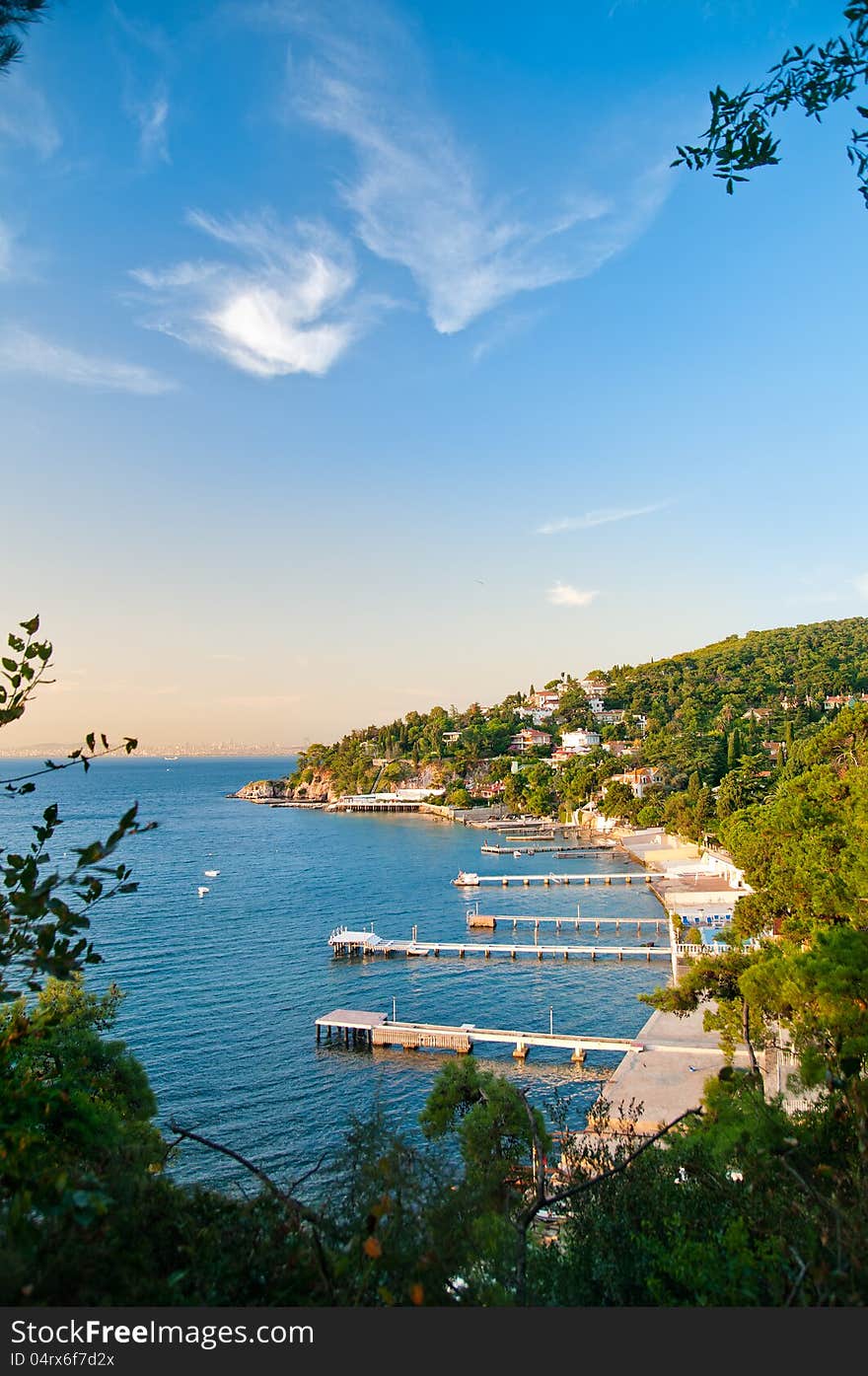 Summer Beach View