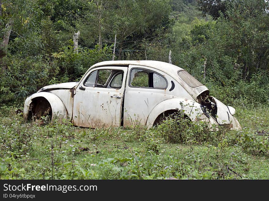 Old Beetle