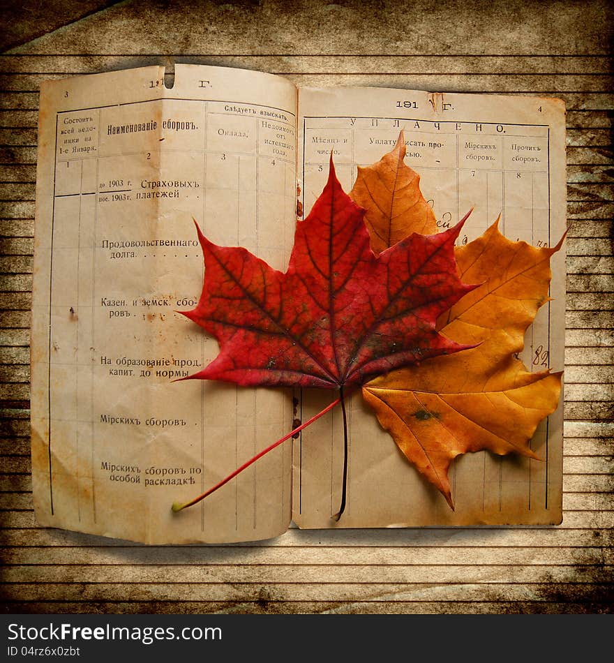 Grunge background with a document in 1903 with leaves