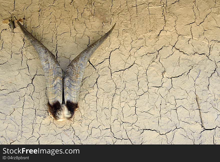 Goat horns on wall of old house