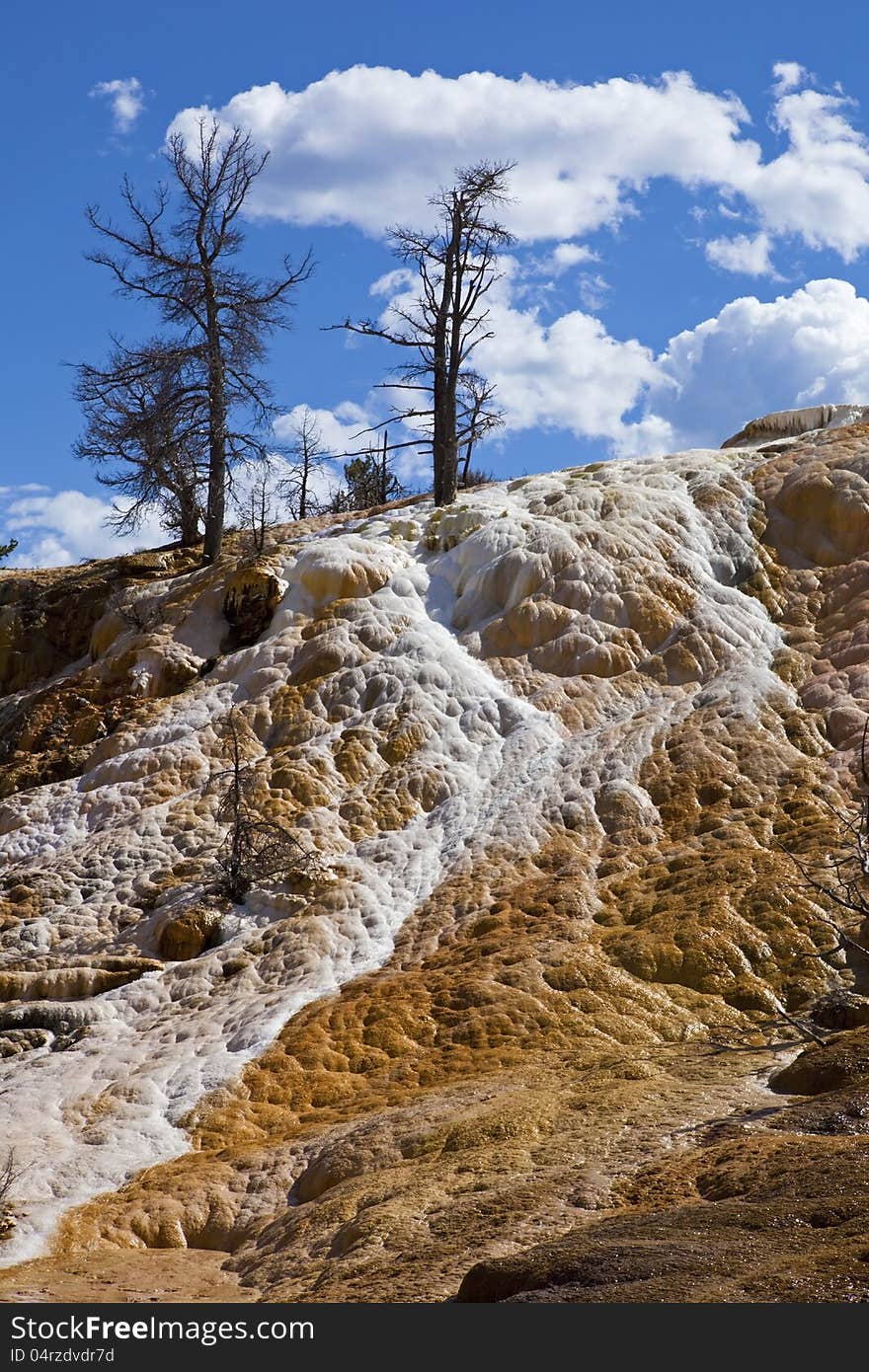 Hot sulphur mineral flow shows brilliant colors reflecting in the sunlight at Mammoth Yellowstone National Park Wyoming. Hot sulphur mineral flow shows brilliant colors reflecting in the sunlight at Mammoth Yellowstone National Park Wyoming.