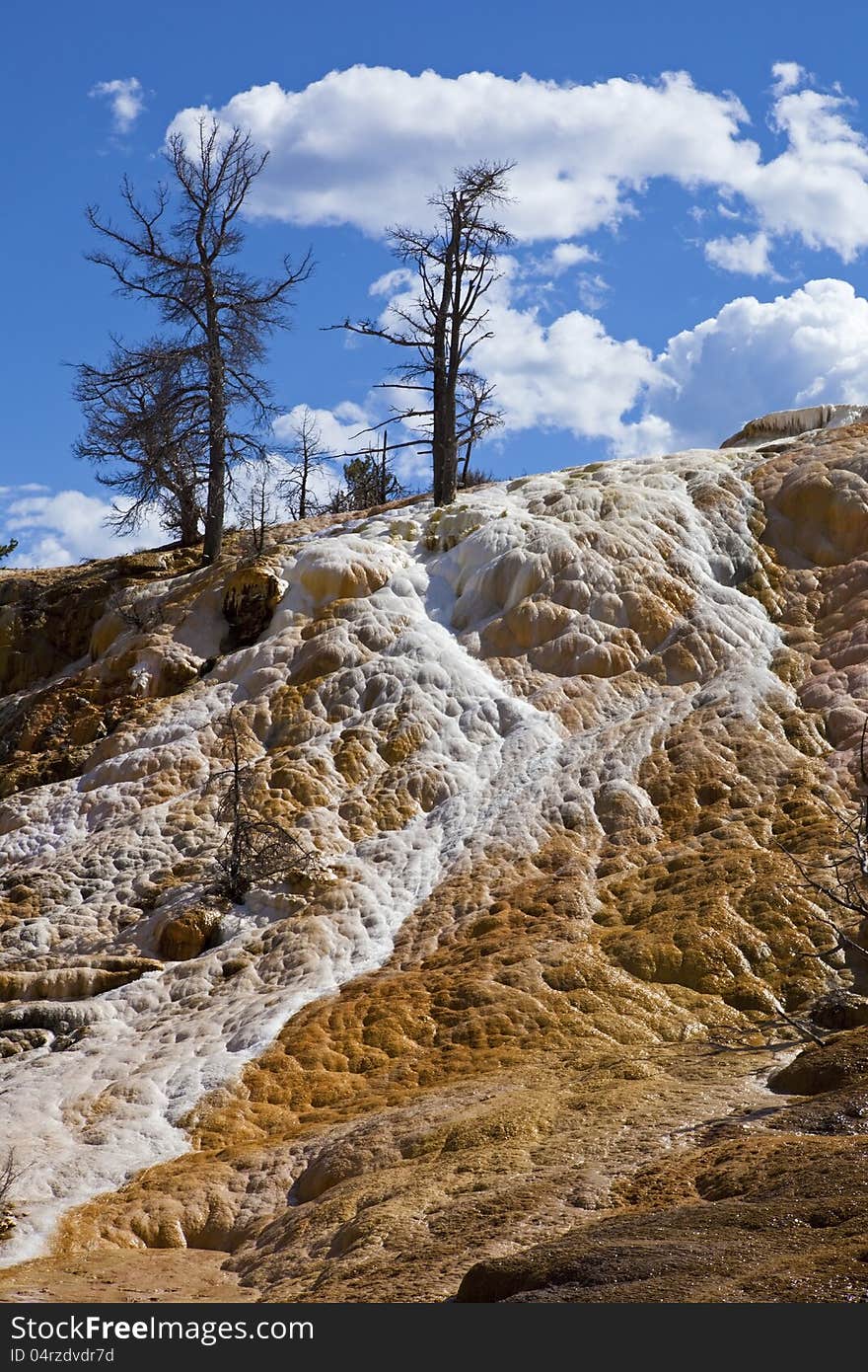 Mammoth Hot Springs thermal flow