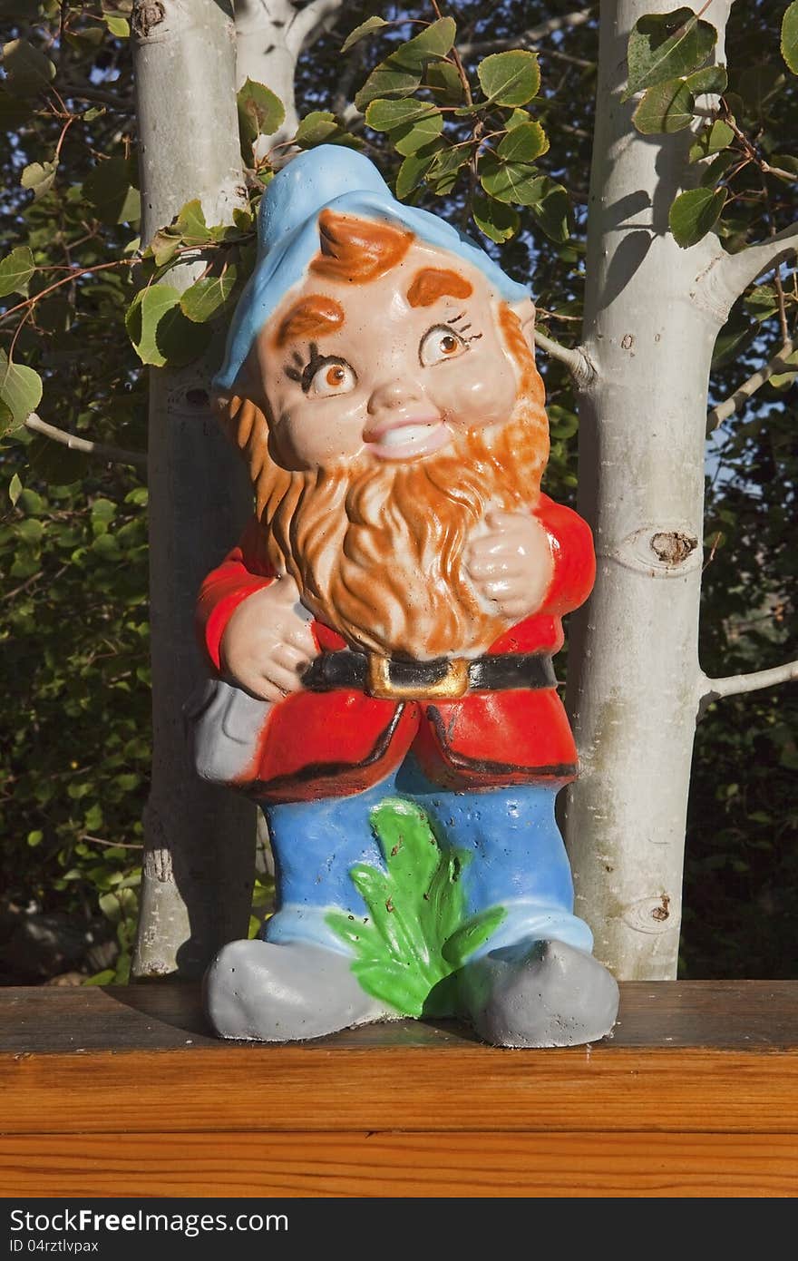 Gnome in Aspen Trees