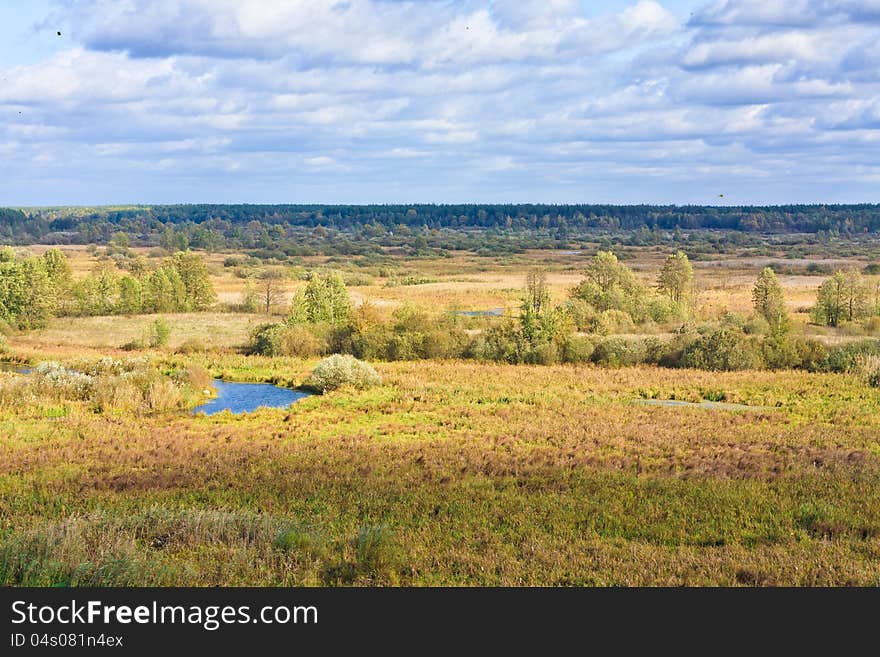 Landscape with forest and sky. Landscape with forest and sky