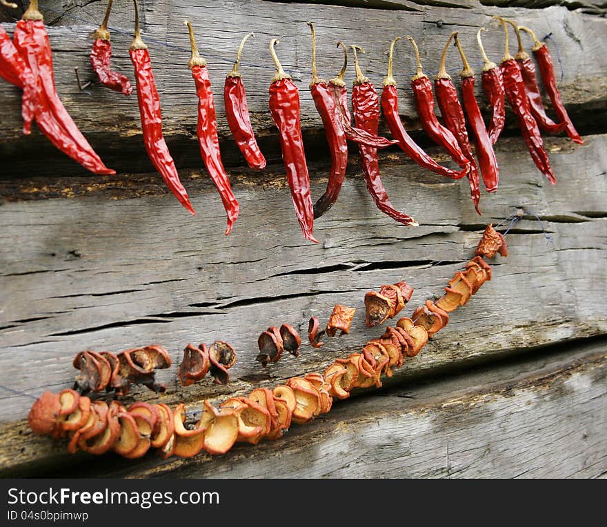 Red hot chilies and mushrooms naturally drying. Red hot chilies and mushrooms naturally drying