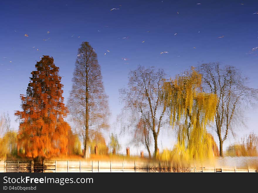 Colored trees reflection in water in autumn