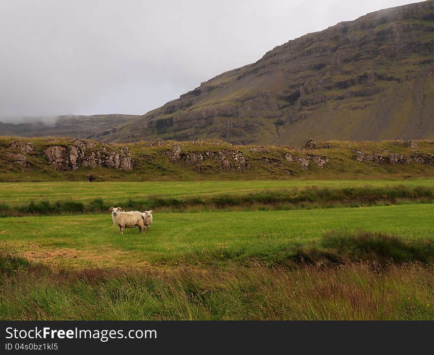 Icelandic Landscape