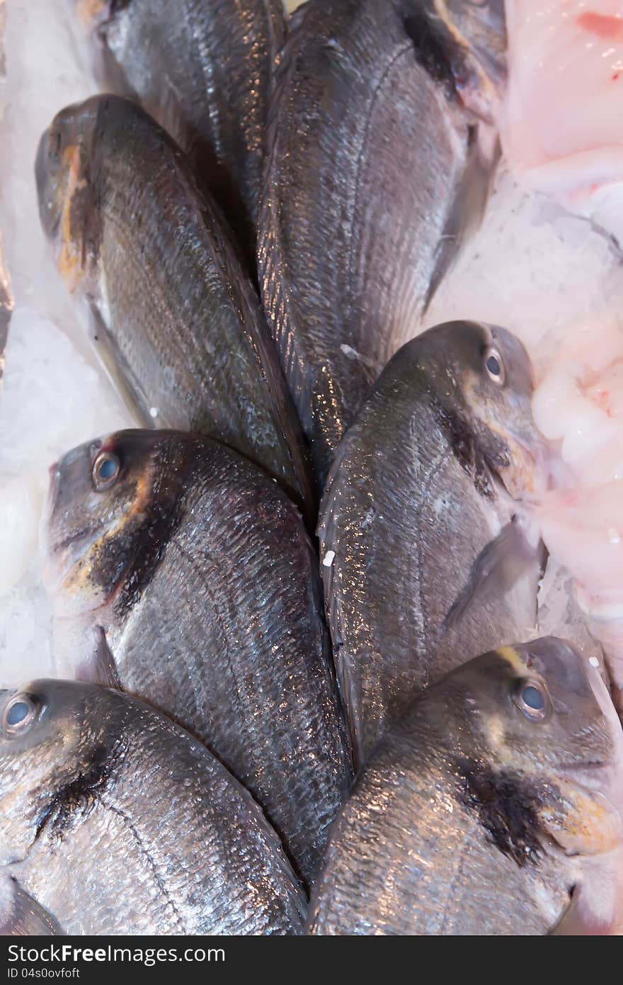 Fresh fish seafood in market closeup background