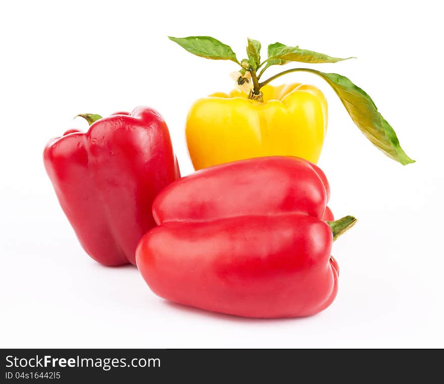 Fresh pepper vegetables on white background