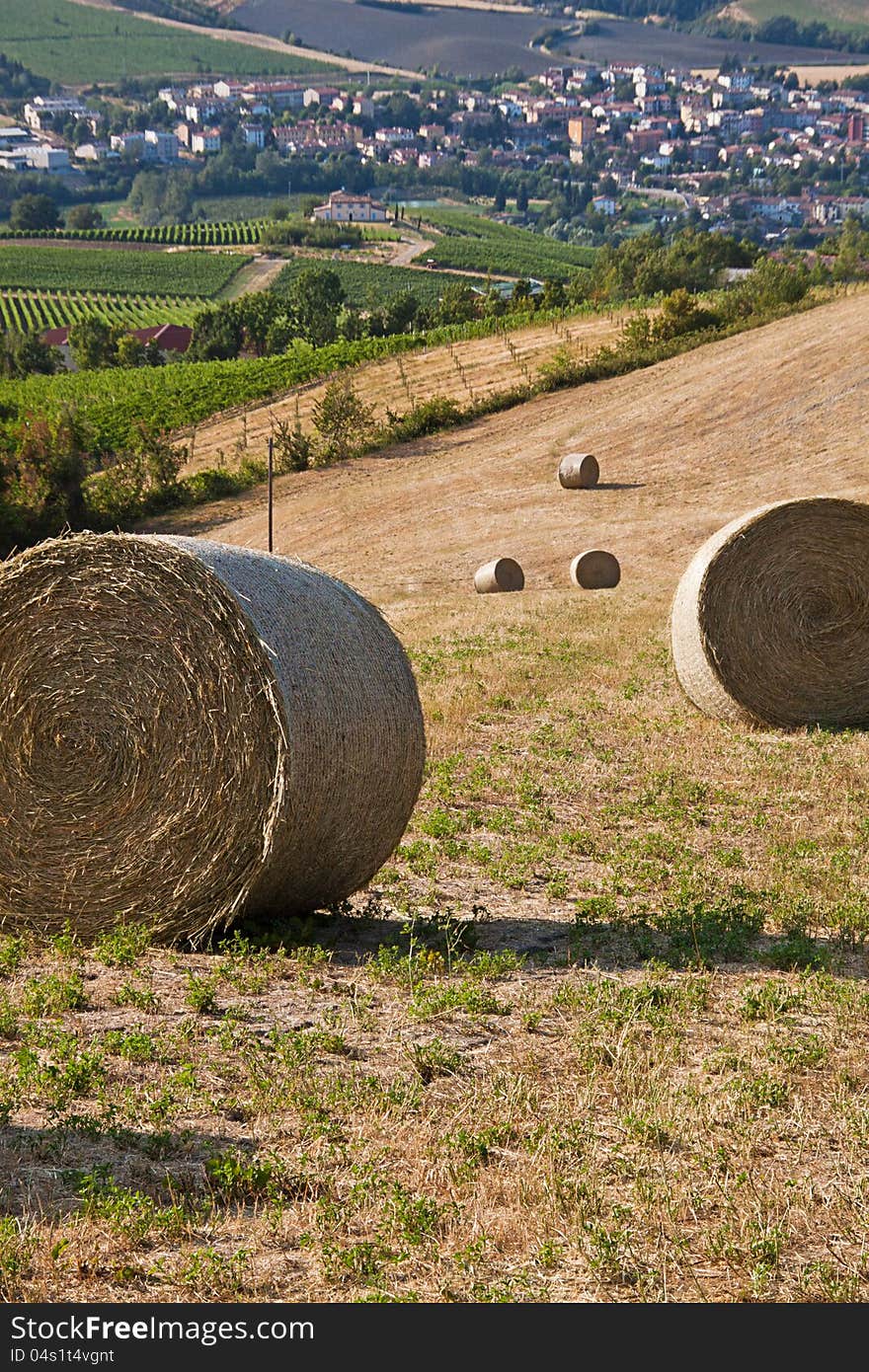 Romagna countryside with bales of hay