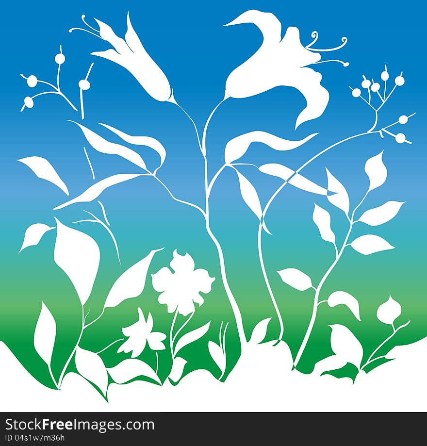 White silhouettes of blooming lilies and other plants on a background of green grass and bright sky.