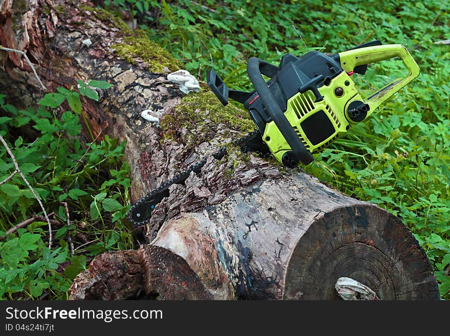 Chainsaw stuck in the old thick log. Chainsaw stuck in the old thick log