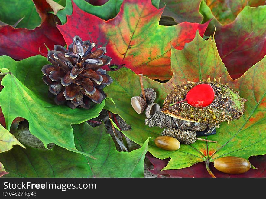 Hedgehog in the forest. Craft from chestnut's shell and pine cone with haw berry on autumn fallen maple leaves. Hedgehog in the forest. Craft from chestnut's shell and pine cone with haw berry on autumn fallen maple leaves