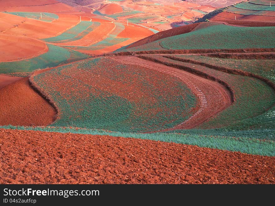 Red land in Dongchuan, Yunan, Western China. kodak 100VS, 2005.