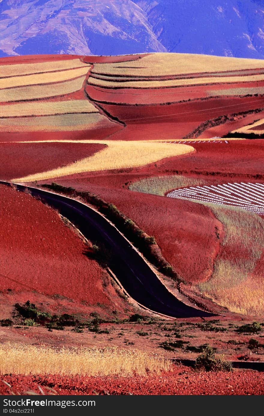 Red land in Dongchuan, Yunan, Western China. kodak 100VS, 2005.