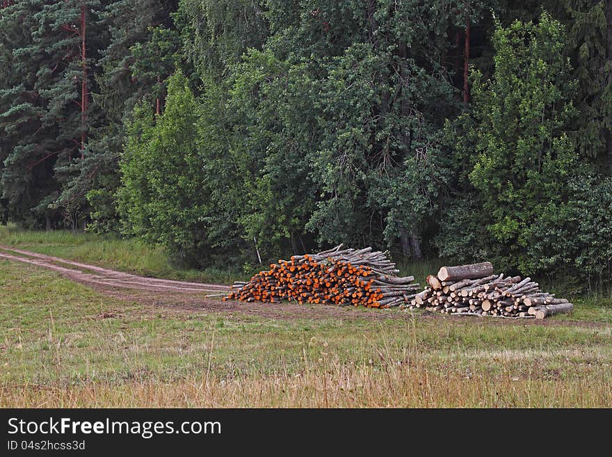 Colorful wood log stacks on the forest background. Colorful wood log stacks on the forest background