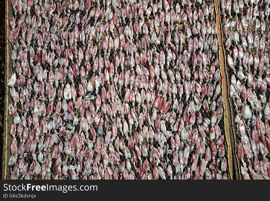 Drying squid on the net