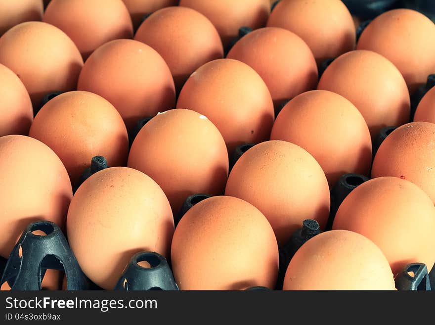 Eggs in carton tray