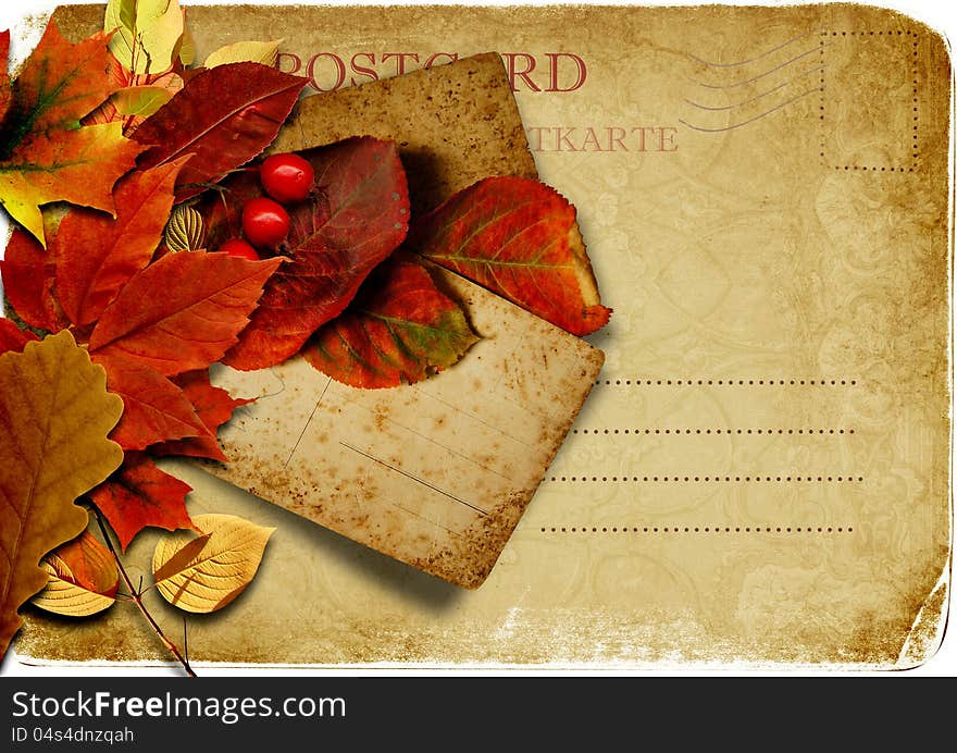 Vintage  Postcard With Autumn Leaves