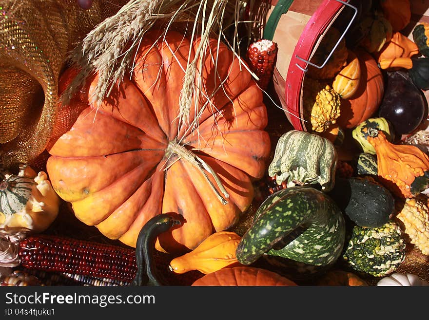 A beautiful fall display with colorful gourds and a large pumpkin. A beautiful fall display with colorful gourds and a large pumpkin.