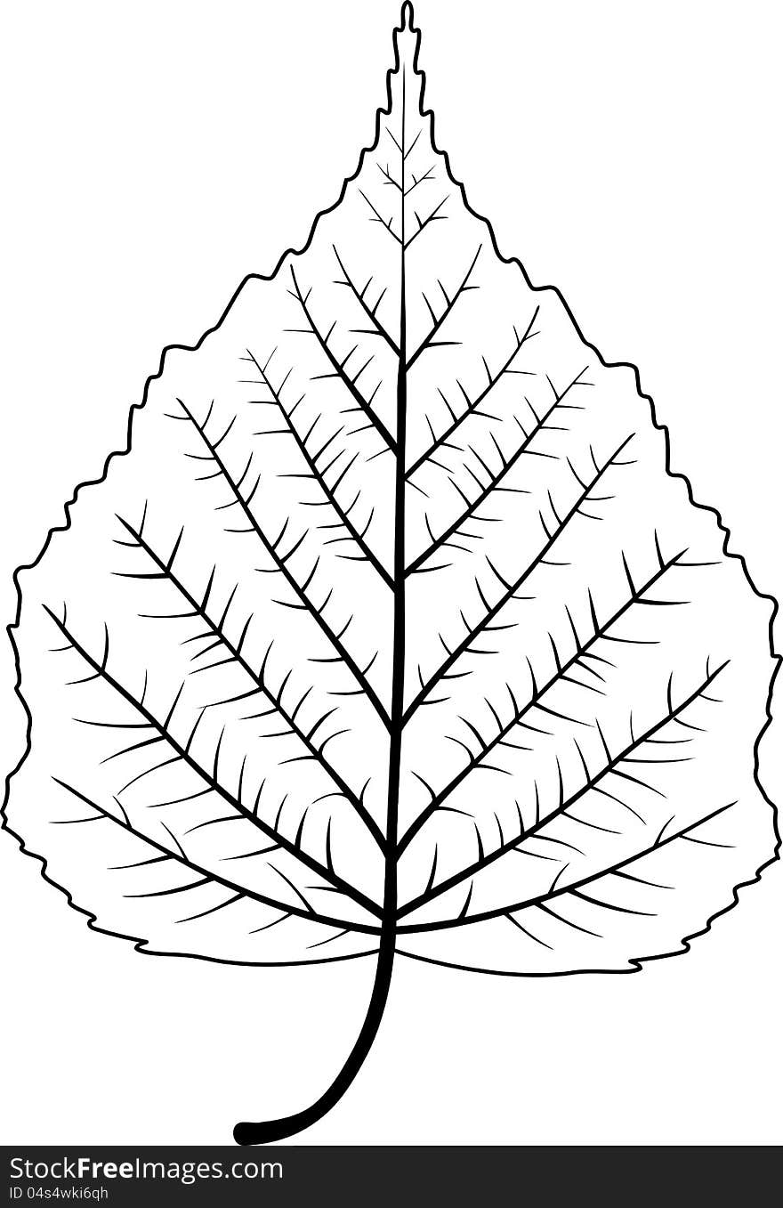 Tree Leaf