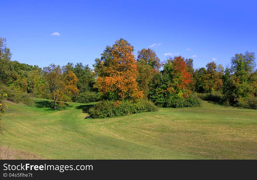 Autumn Meadow