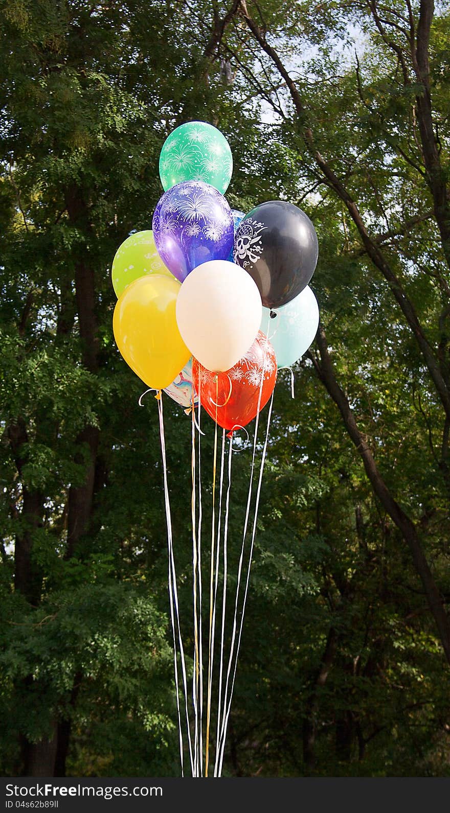 Multi colored party balloons are ready to fly away to the sky